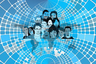 九游网页版入口-美国队赛制分析：赛制中的人员调整与战术变化，美国队训练赛